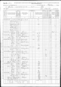 1870 Walton County census, pg 28