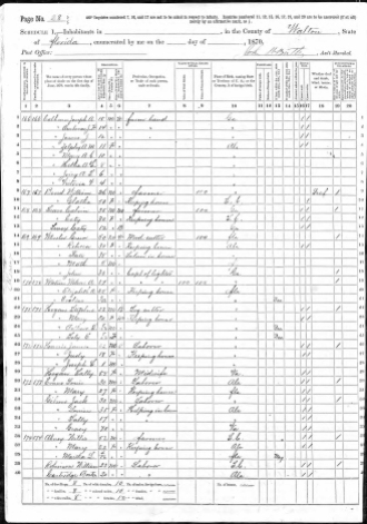 1870 Walton County census, pg 28